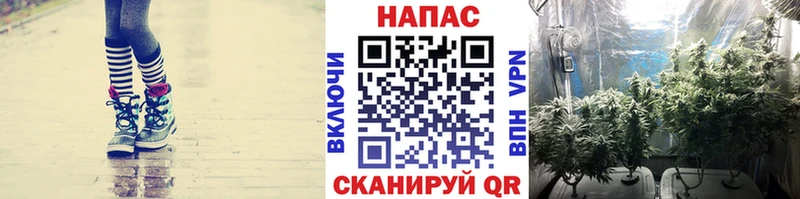 Виды наркоты Козьмодемьянск Марихуана  Мефедрон  КОКАИН  Alpha PVP  OMG ONION  Гашиш 