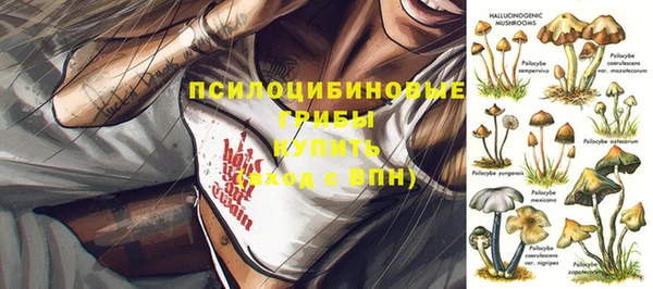 марки nbome Аркадак