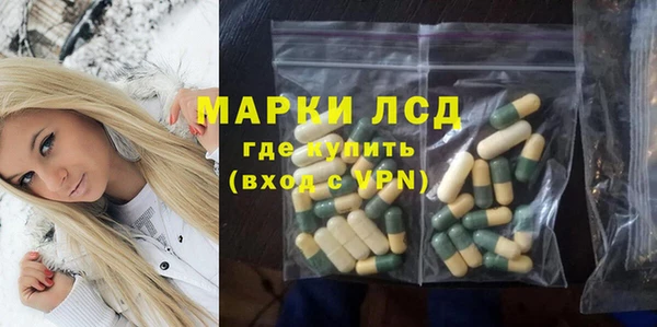 spice Бикин