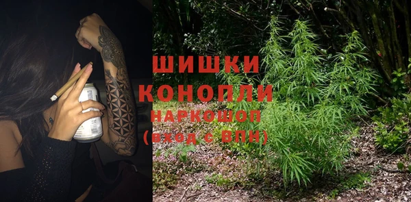 spice Бикин